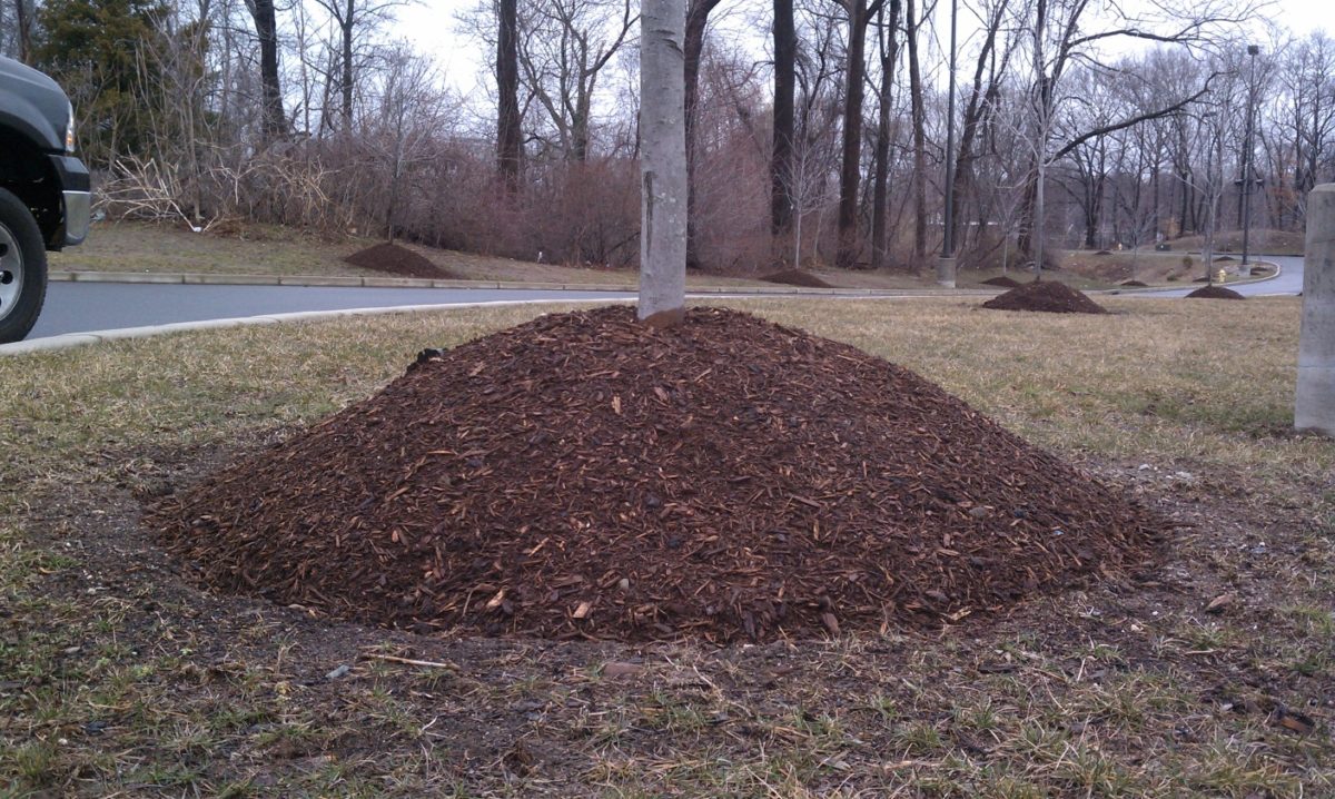 Don't Create a Mulch Volcano