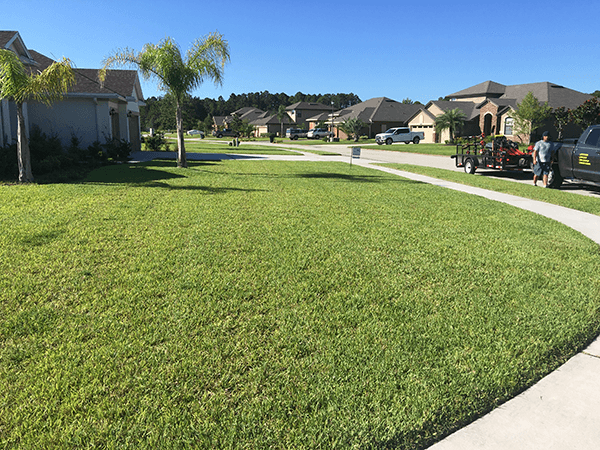 How To Find The Best Lawn Care Companies in St Augustine
