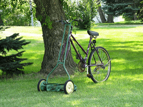 cheap lawn maintenance in st augustine