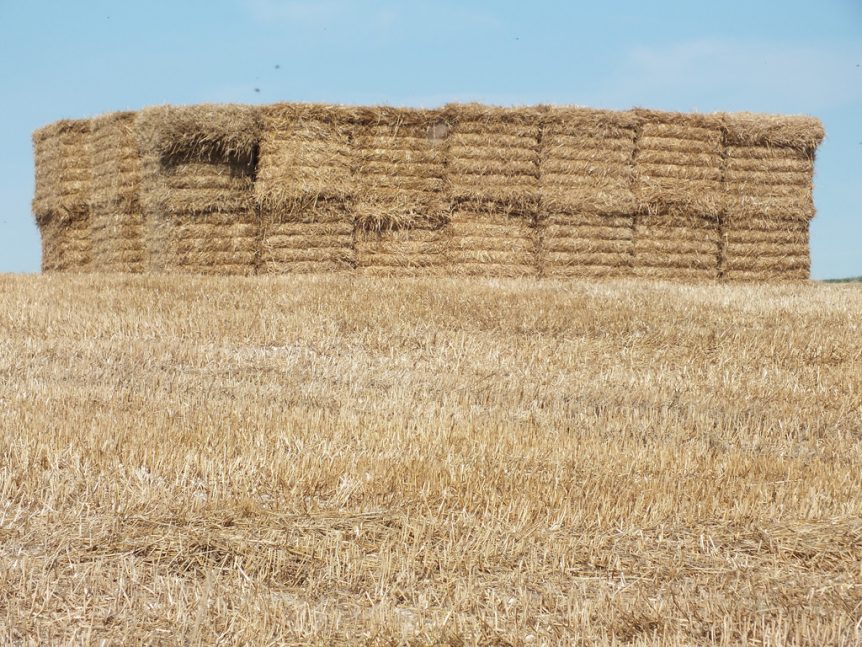 treating stressed grass