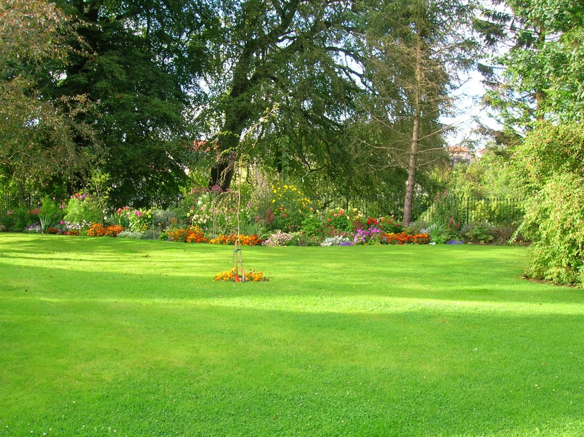 How To Get A Green and Healthy Lawn