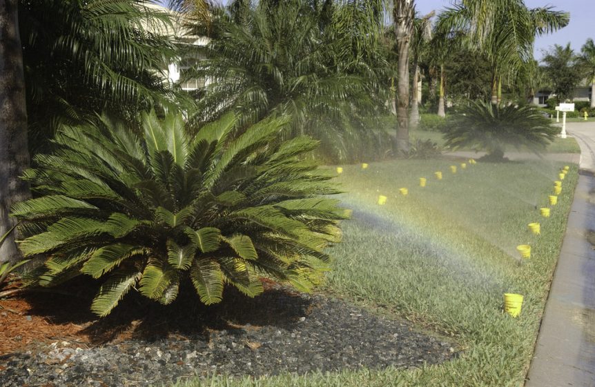 Irrigation Restrictions in St Johns County